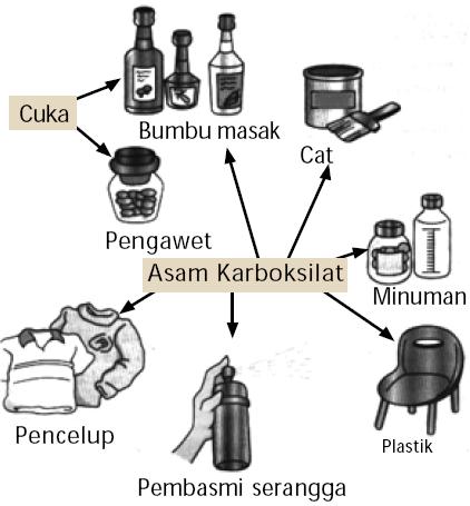 Rumus Dan Pengertian Asam Karboksilat Wiki Pahlawan