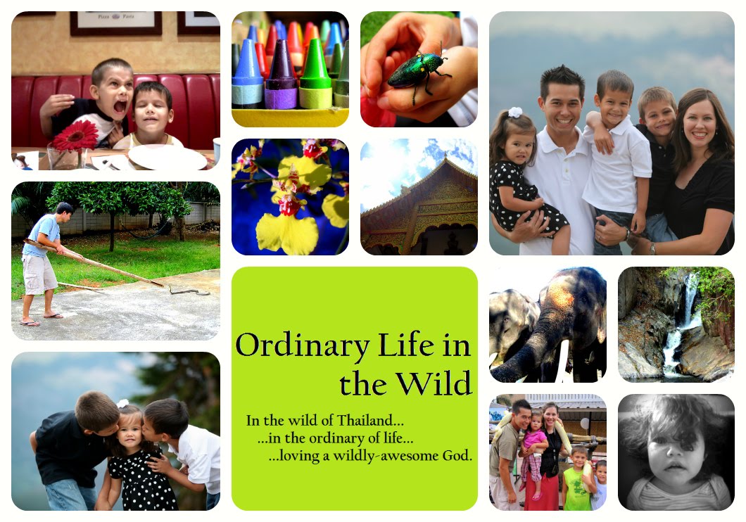 Ordinary Life in the Wild