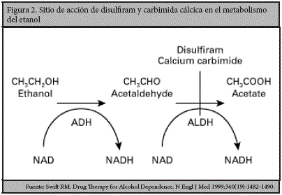 las recetas de la dieta del metabolismo acelerado (colección vital) hoja cheet