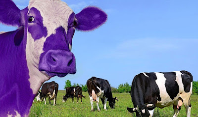 How to Get Press Coverage