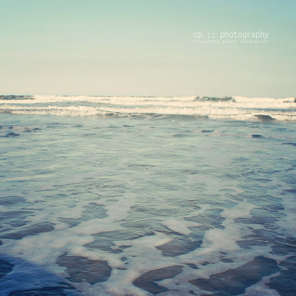 sassafras: daydreaming of the beach :: photography