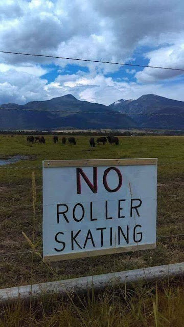 401.jpg