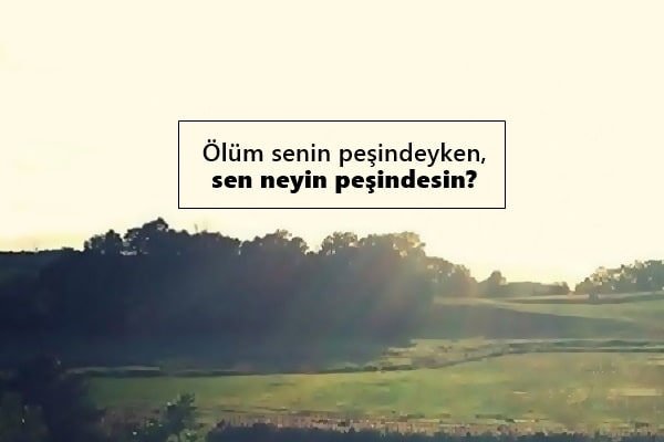 Mest Eden Sözler Mest Eden Sözler