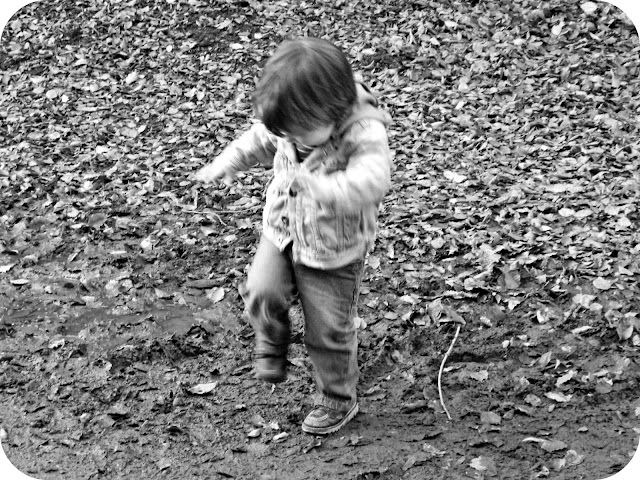 Small boy stomping muddy puddle autumn leaves fall