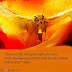 Focus on the fire rising through your form