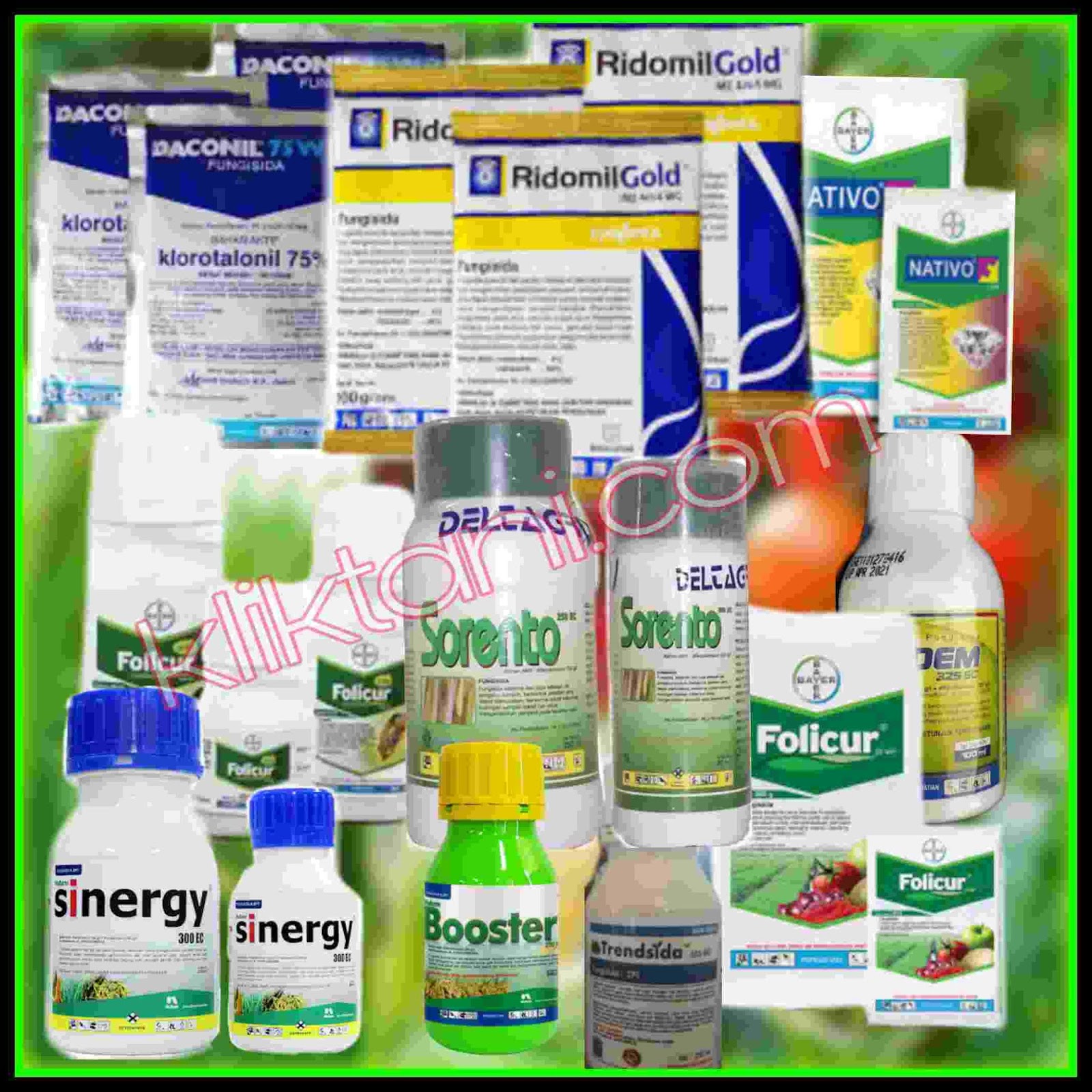 7 Fungisida Cair Terbaik Bagi Tanaman Padi Cabai Tomat Jagung Dan Lainnya Kliktani Com