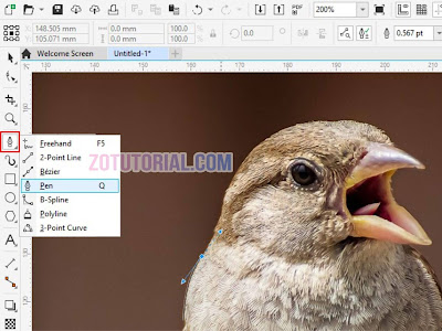 Menyeleksi dan Crop Gambar dengan Pen Tool di CorelDraw 2020