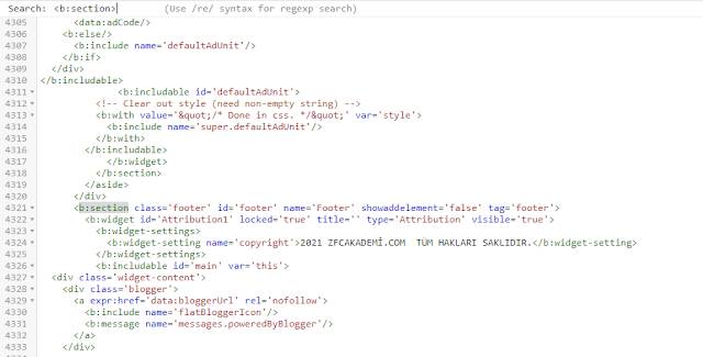BLOGGER SECTİON NEDİR