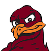 [Image: hokiebird%255Bmed%255D.png]