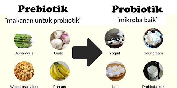 Perbedaan Prebiotik dan Probiotik