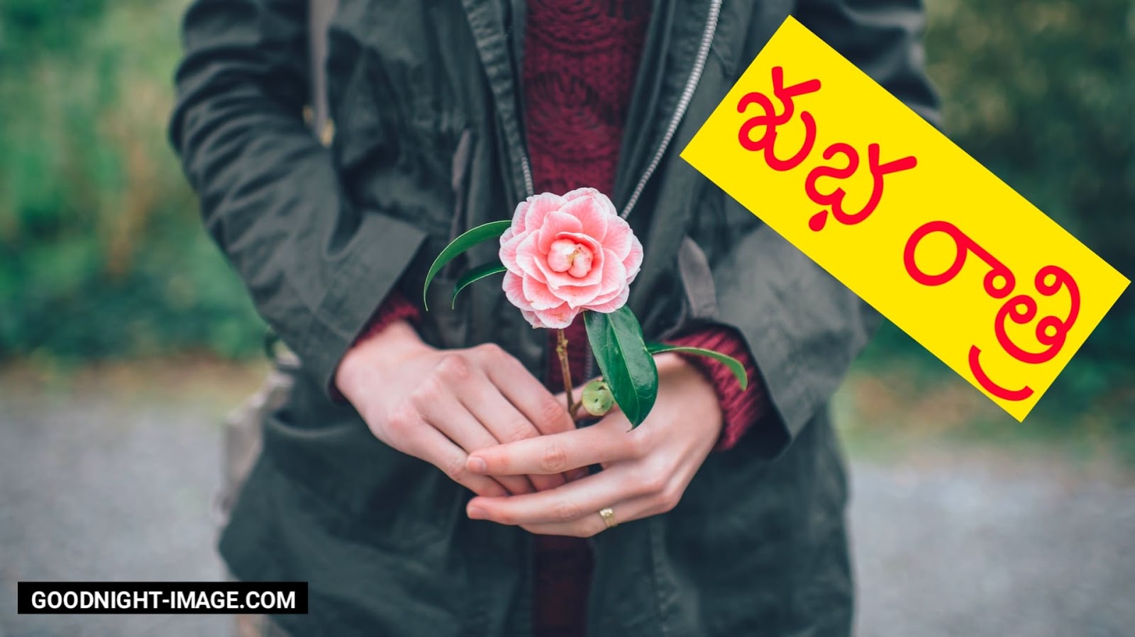 good night quotes telugu love download share chat