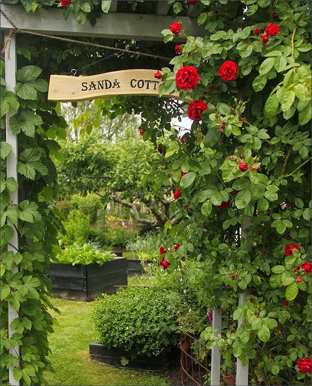 Anitas Blogg ...De fyra blomsterhaven skriver om Sanda Cottage: