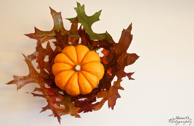 DIY Corbeille en feuilles d'arbre automne