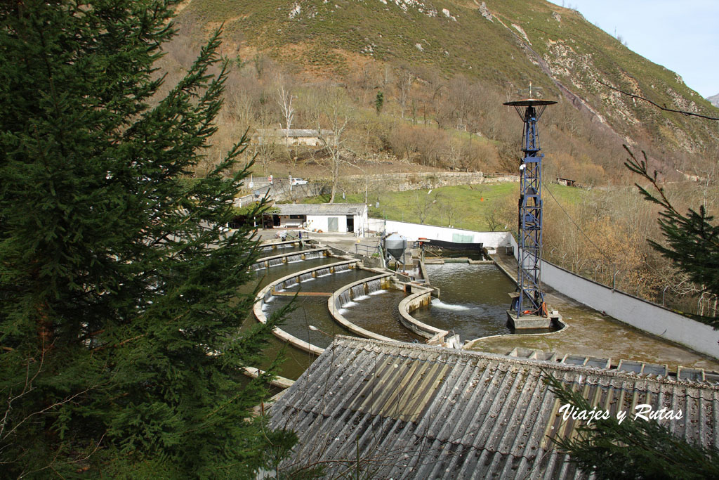 Ruta del Alba, Asturias