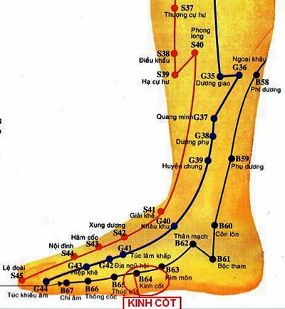 huyệt kinh cốt