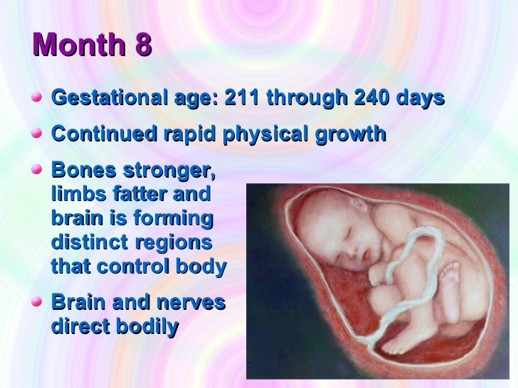 cephalic presentation in 8th month of pregnancy