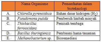 Pasangan Nama Organisme Dan Pemanfaatan Dalam Bioteknologi Yang Tidak Benar Adalah Blog Pak Pandani