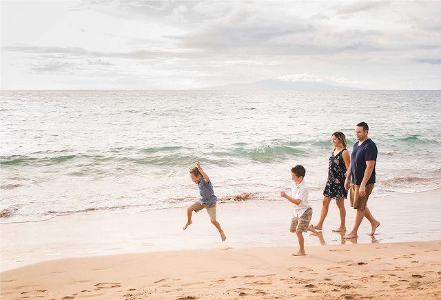 Enjoy Your Vacation With the Best Maui Tours