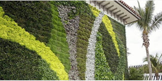 TUKANG TAMAN VERTICAL GARDEN TUBAN