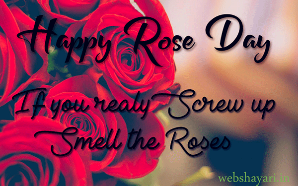  happy rose day photo 