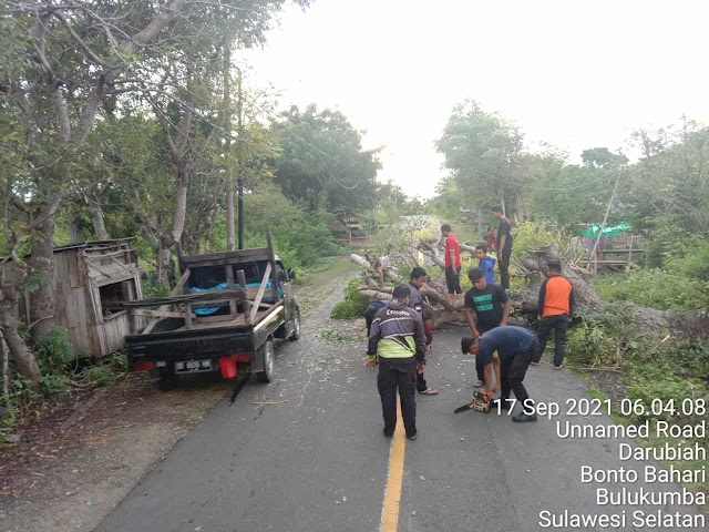 Berkat Kesigapan Regu 3 TRC BPDB Bulukumba, Pohon Tumbang Berhasil Dievakuasi