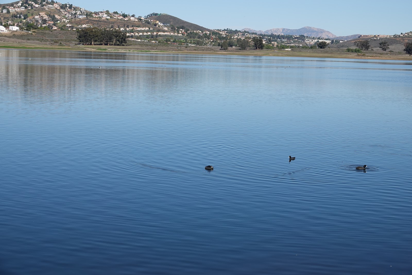 Looking for Lakes Sweetwater Reservoir