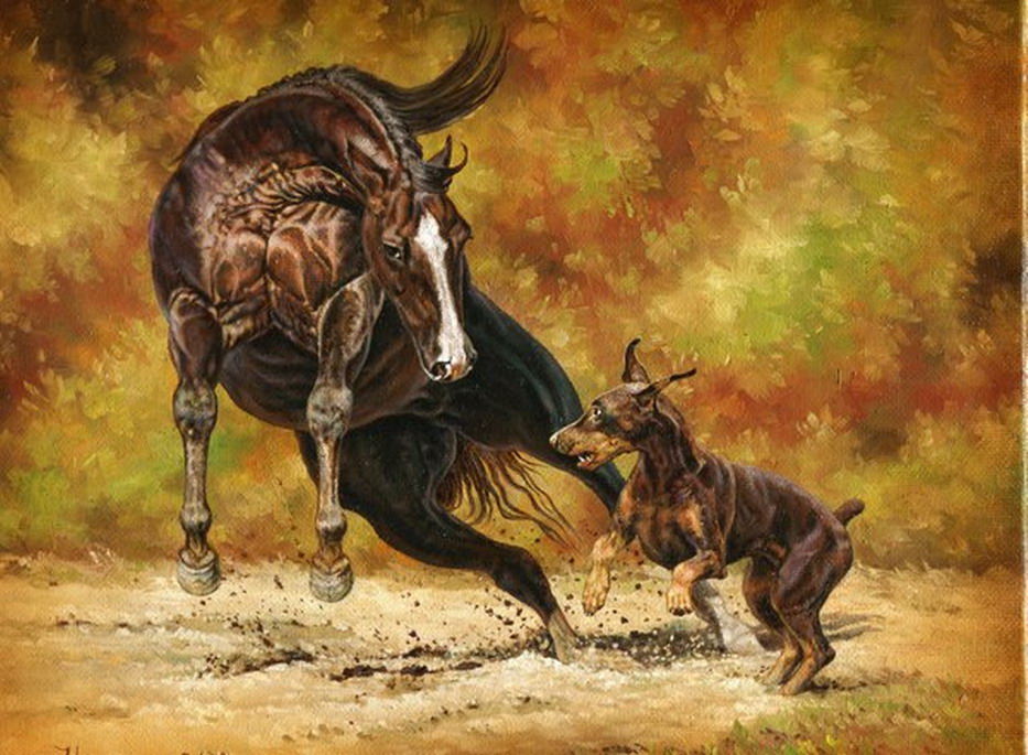 cuadros de caballos al oleo cuadros modernos pinturas y dibujos quot caballos arabes cuadros de caballos al oleo cuadros modernos pinturas y dibujos quot caballos arabes