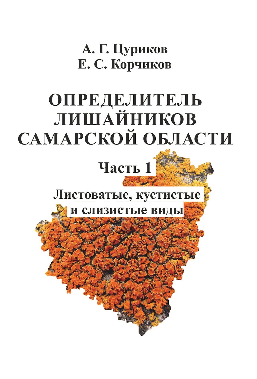Смотреть ОГЭ по химии в 2019 году | изменения, подготовка, дата проведения видео Смотреть ОГЭ по химии в 2019 году | изменения, подготовка, дата проведения видео
