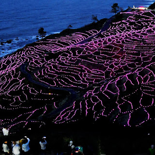 Terrace fields glow on the beach attract tourists