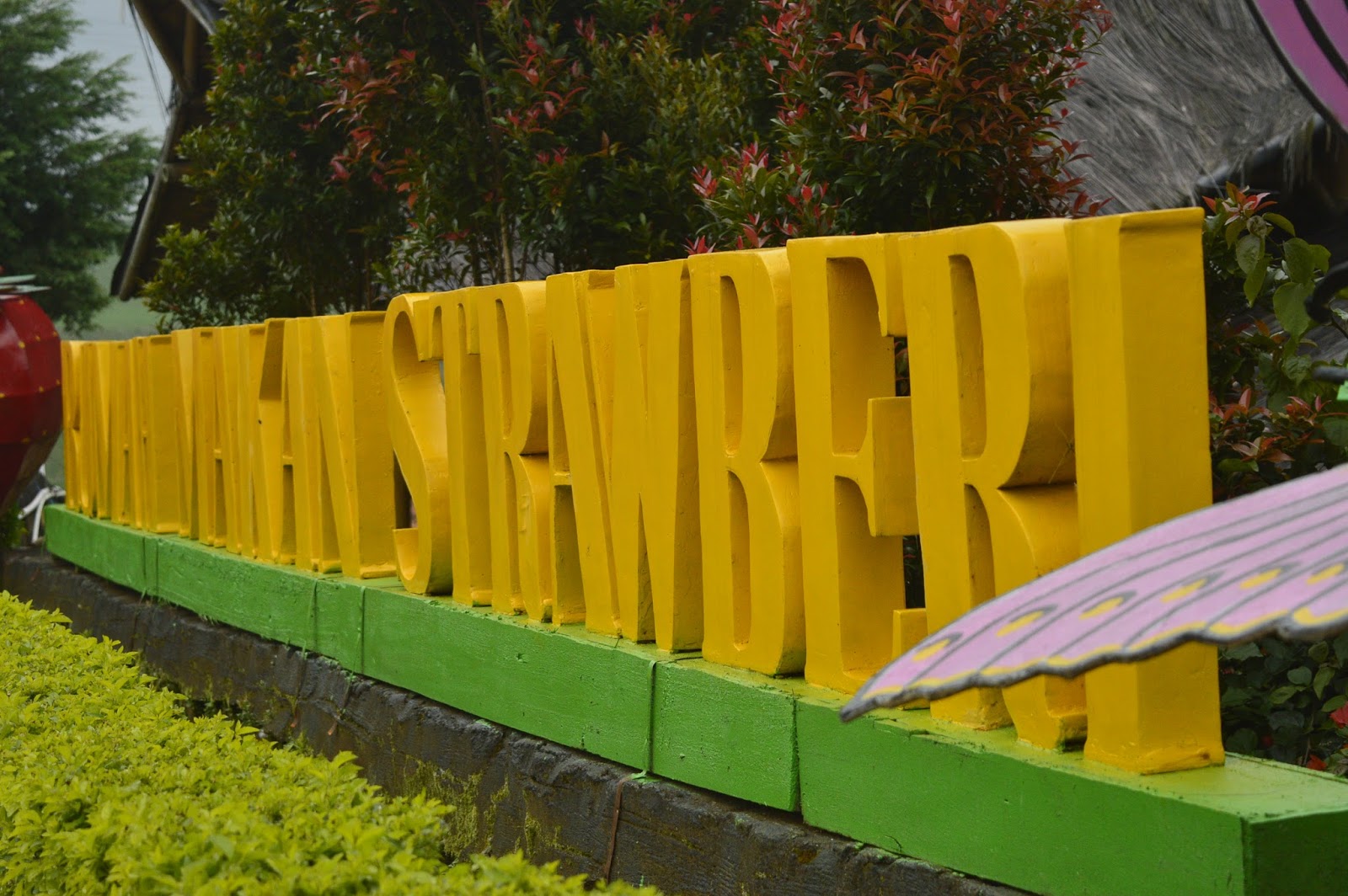 Awit Sinar Alam Darajat