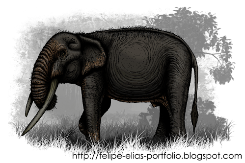 gomphoteridae fosil Haplomastodon