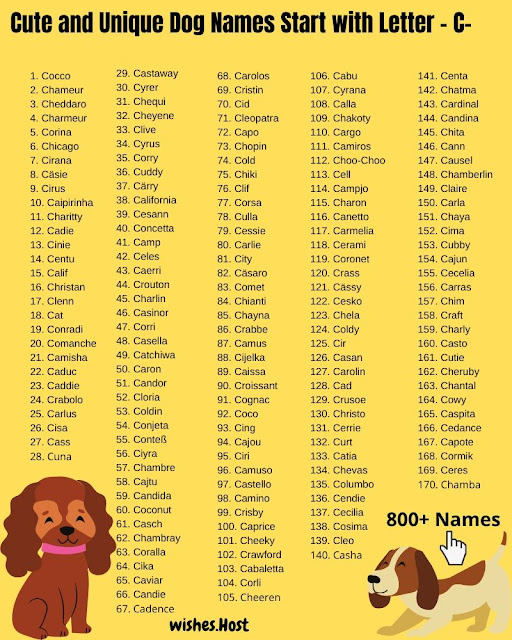 Dog Names That Start with C for Girl and Boy Dog Your Hop