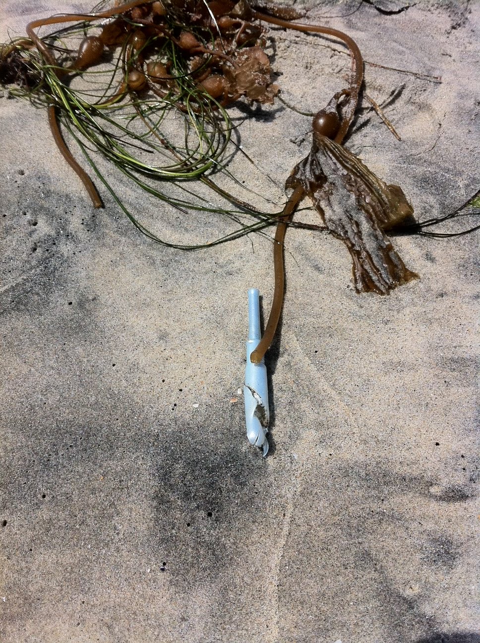 The disposal of feminine care products Tampon applicators common on beach
