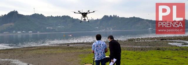 Con dron buscarán detectar "Mareas Rojas"