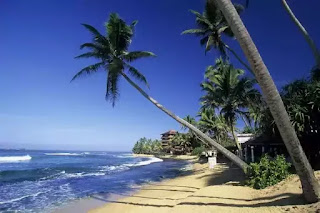 Best Places To Visit In Sri Lanka | Best things to Do In Sri Lanka