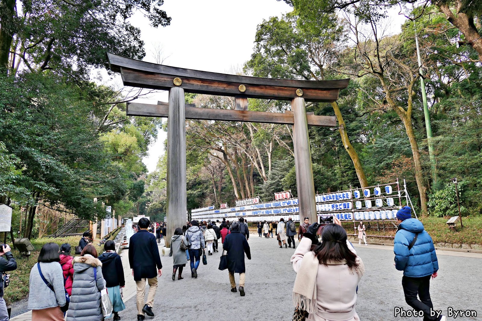 明治神宮 鳥居