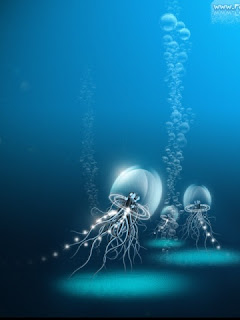 Jellyfish beauty Wallpapers For Wall - All Images Wallpapers For Wall