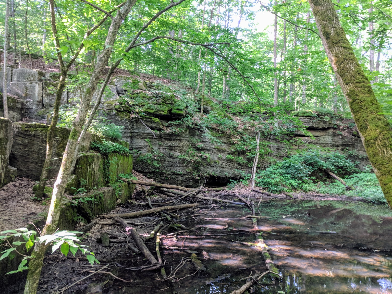Spencer, IN McCormick's Creek State Park, Old State House Quarry
