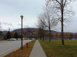 Walking in autumn