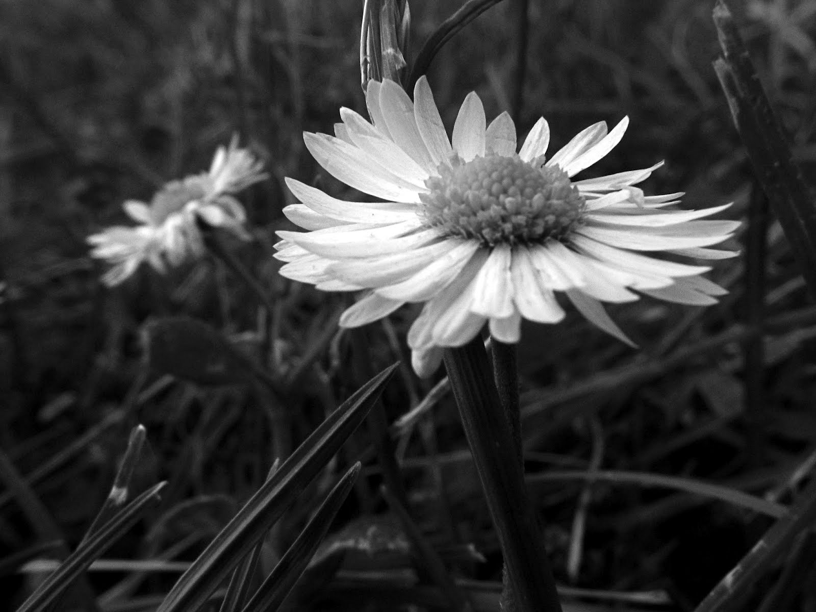 Maria M Photography Obicha Me Ne Me Obicha