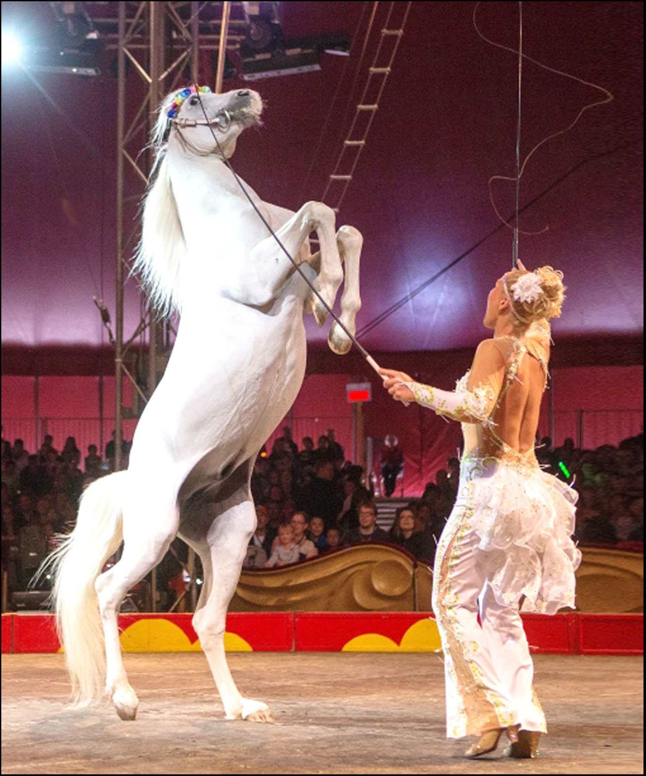 Buckles Blog HIND LEG 7