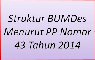 Struktur BUMDes Menurut PP Nomor 43 Tahun 2014
