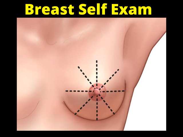 breast self examination steps breast self examination steps