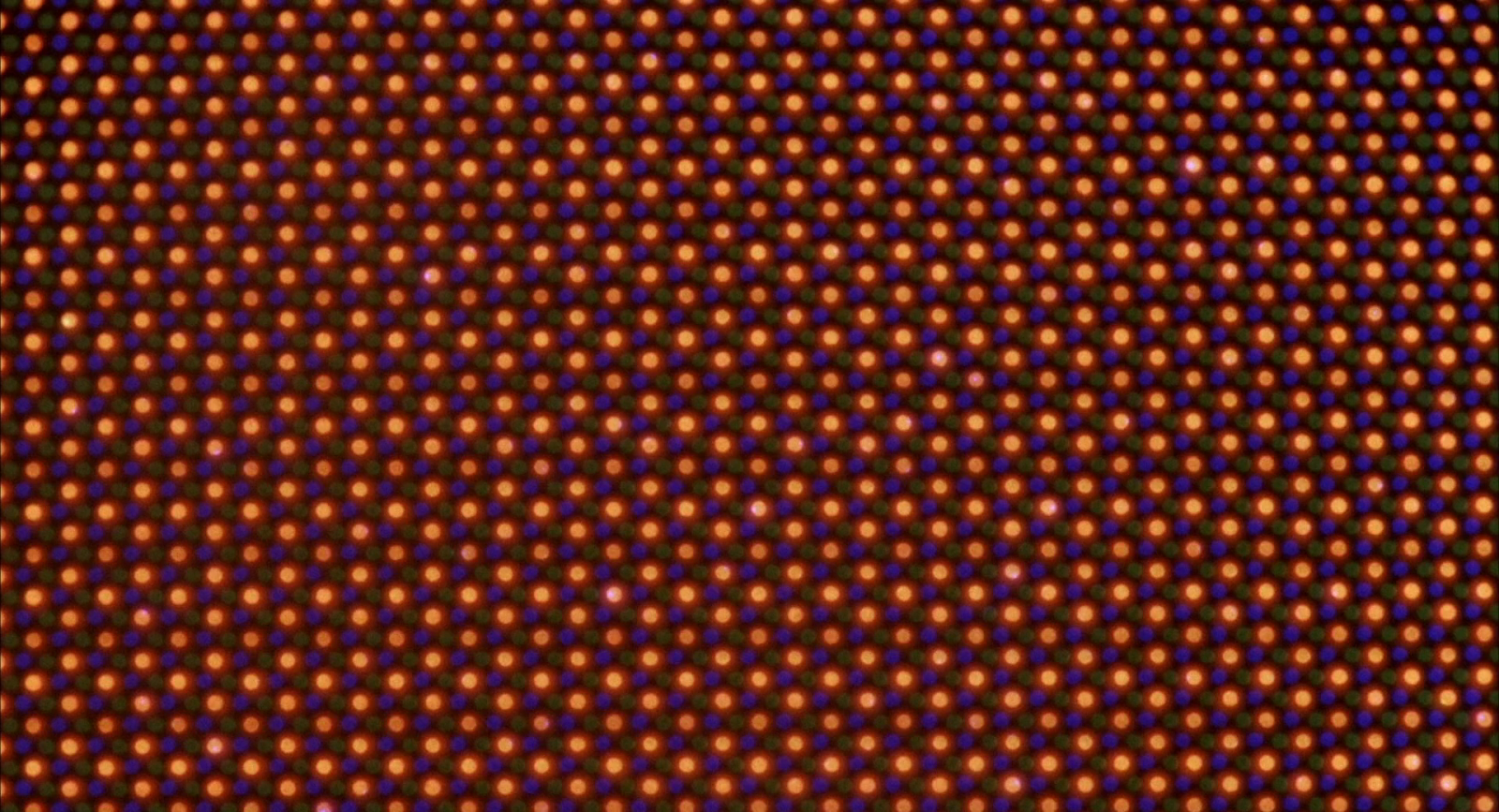 One of Edgar's graphics