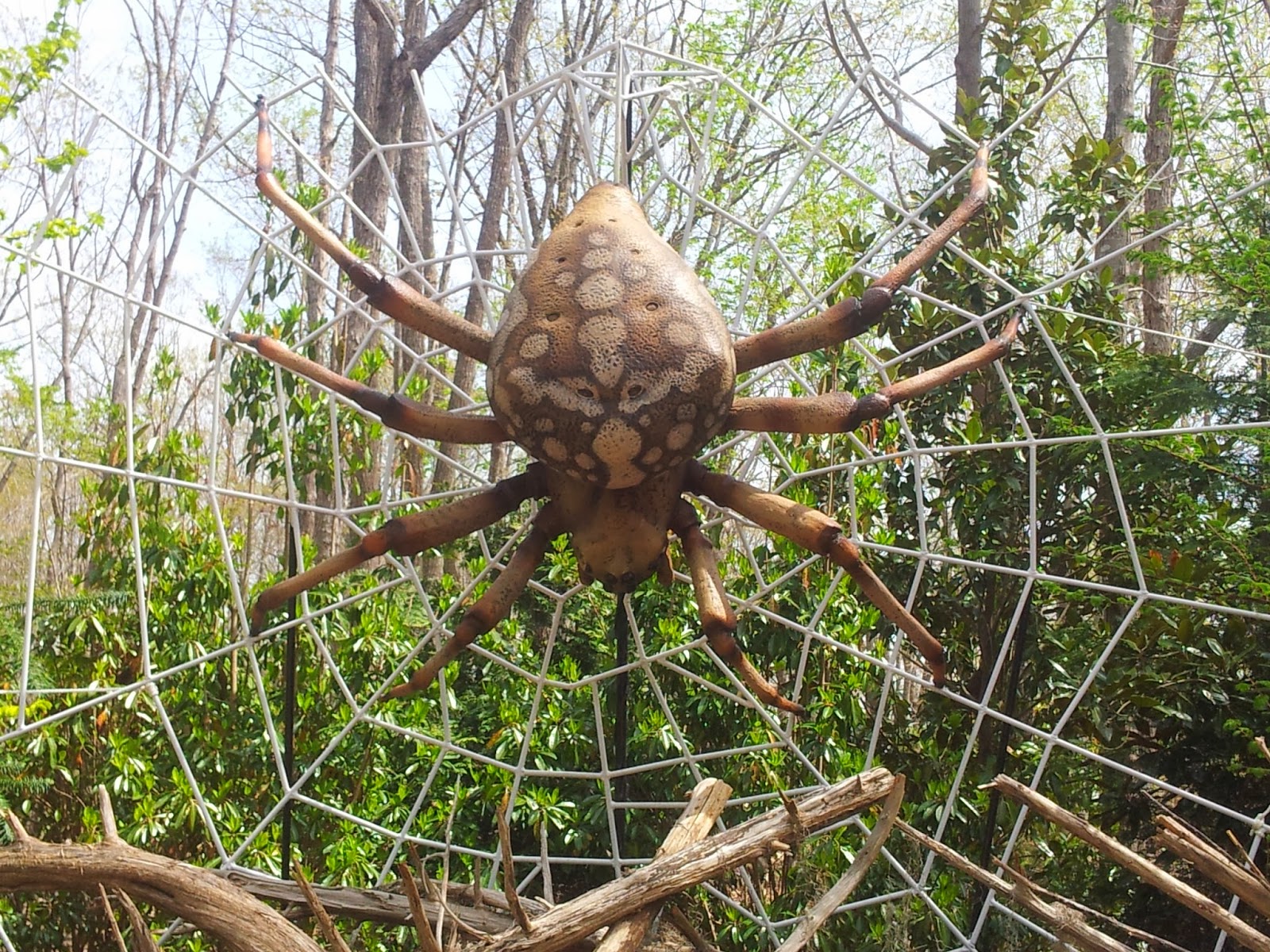 Mom's Thumb Reviews North Carolina Zoo Insects