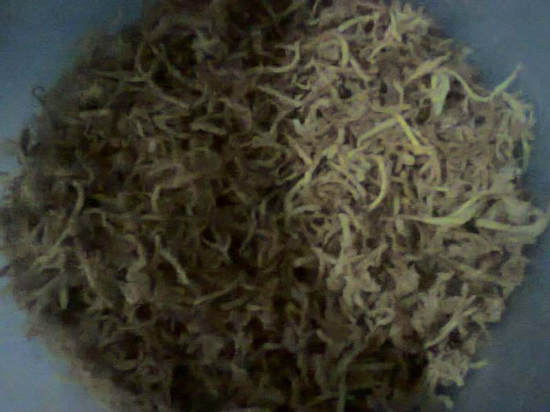 Cara Membuat Abon Pepaya Muda yang Enak dan Gurih Dapur