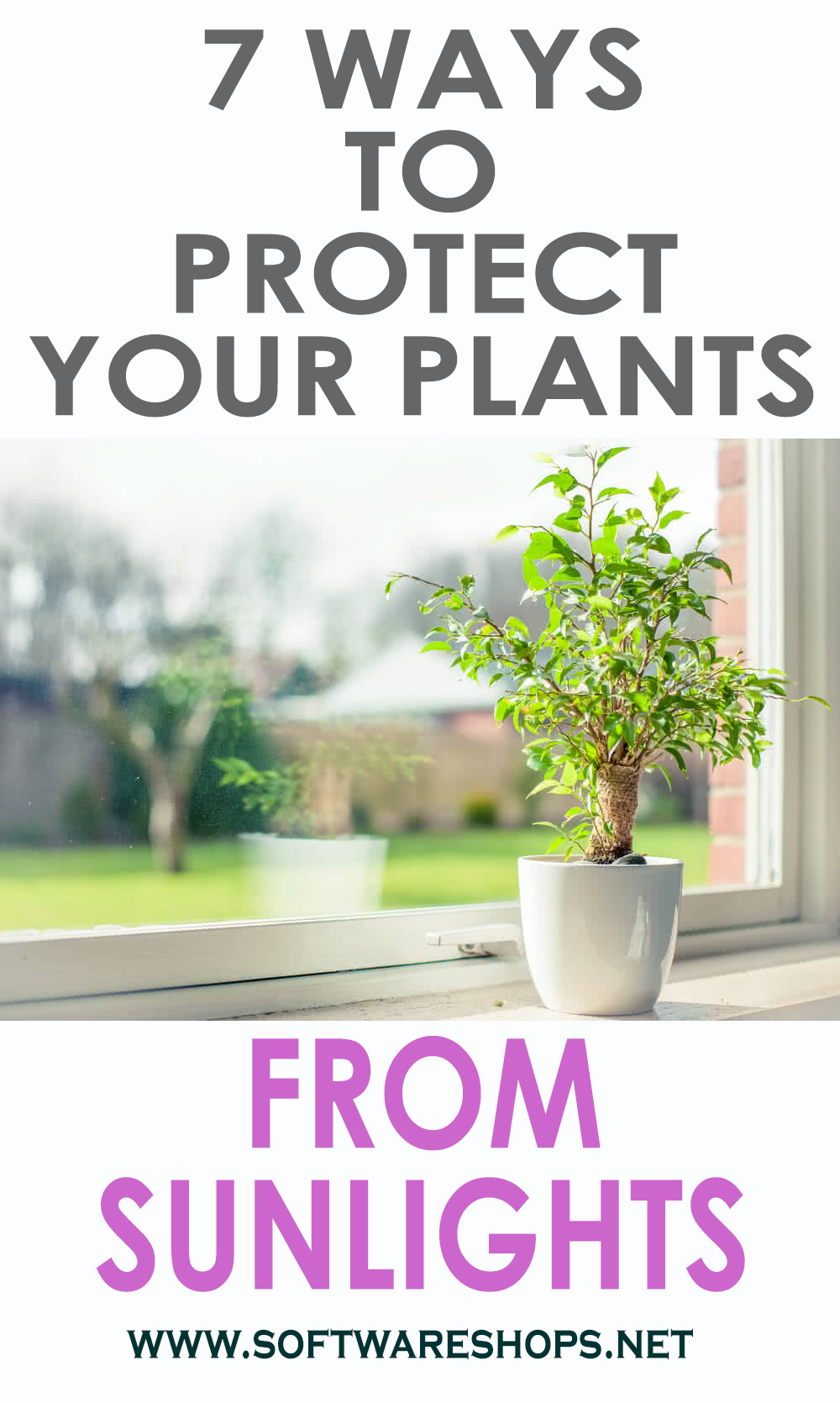 7 way to protect your plants from sunlight