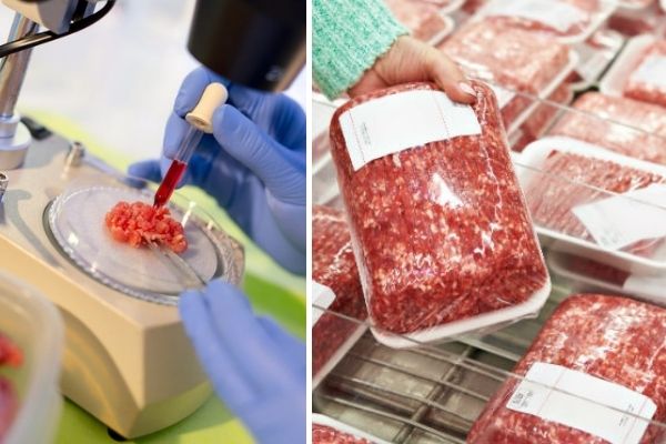 Carne produzida em laboratório deverá suprir a produção de proteínas no mundo