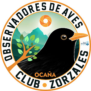 Club Zorzales - Ocaña