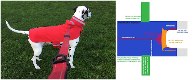 DIY dog coat pattern with photo of Dalmatian dog wearing the finished coat